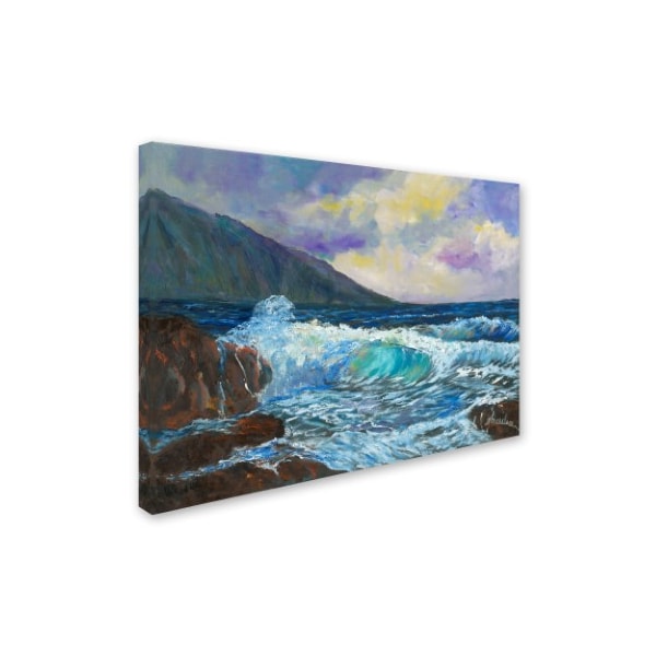 Manor Shadian 'Maui's Enchanting Seas' Canvas Art,18x24